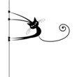 Funny cat silhouette black for your design