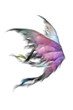 Isolated Fairy fluffy wings