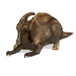 Dinosaur Parasaurolophus. 3D rendering with clipping path and