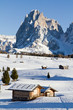 Hütte in Südtirol, Langkofel im Hintergrund