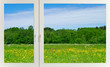 Beautiful summer meadow behind the window Beautiful summer meadow behind the window
