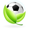 Icon with football