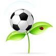Icon with football