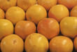 Rows of pink grapefruit