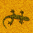 Salamander Tarnung