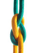 Rope with marine knot on white background. series of photos iso