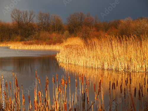 Photo: Marsh Before a Storm in Pennsylvania Marsh Before a Storm in Pennsylvania