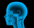 X-Ray of a male skeleton, Isolated on a black background