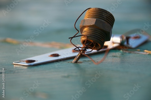 Photo: Nutscrew Nutscrew