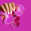 Hand mit einer Orchidee Hand mit einer Orchidee