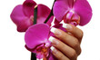 Frauenhand mit einer Orchidee