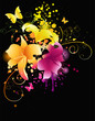 Glowing lily flowers Glowing lily flowers