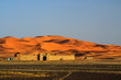 edge of the Sahara Desert edge of the Sahara Desert