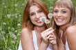 Beautiful friends