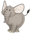 Elefant, Zoo, dick, Afrika, Indien, Zirkus