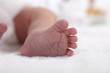 pieds de bebe