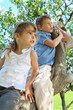 Girl and boy sit on caudex of lilac and look aside Girl and boy sit on caudex of lilac and look aside