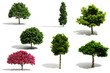 3d tree pack - render on white background
