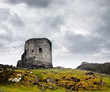 Castle ruin