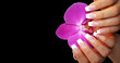 pinke Orchidee auf schwarzem Hintergrund