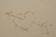Heart drawn on sand. Heart drawn on sand.