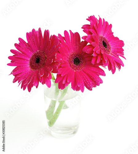 Photo: three gerbera in a glass three gerbera in a glass