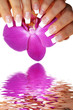 Photo en ligne au meilleur prix sch�ne Orchidee Wasserspiegelung