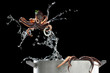 Octopus  jumping out of pat