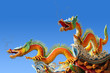 Asian temple dragon