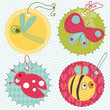 Photo en ligne au meilleur prix Design elements for baby scrapbook