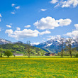 alpine landscape