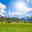 alpine landscape