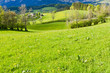 alpine landscape