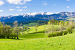 alpine landscape