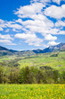 alpine landscape