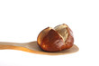 Bun on a wooden spoon
