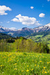 alpine landscape