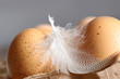 Photo: Closeup of brown speckled eggs Closeup of brown speckled eggs
