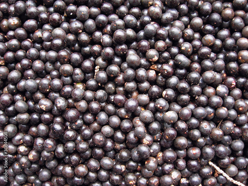 Photo: Acai Fruit Harvest Acai Fruit Harvest
