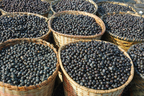 Photo: Acai Fruit Harvest and Market. Acai Fruit Harvest and Market.