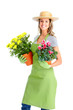 Gardening