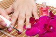 manicure