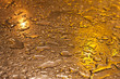 Gold shiny metallic surface