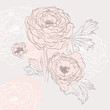 Floral background. Vector illustration Floral background. Vector illustration