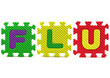 Images of the H1N1 Influenza Virus
