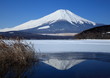 富士山　山中湖にて