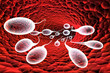 Spermatozoïde