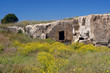 Chypre, site antique de Paphos