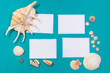 Sheets of paper with shells
