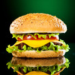 Tasty and appetizing hamburger on a darkly green Tasty and appetizing hamburger on a darkly green